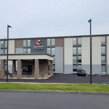 Comfort Inn & Suites Wyomissing-Reading Extérieur photo