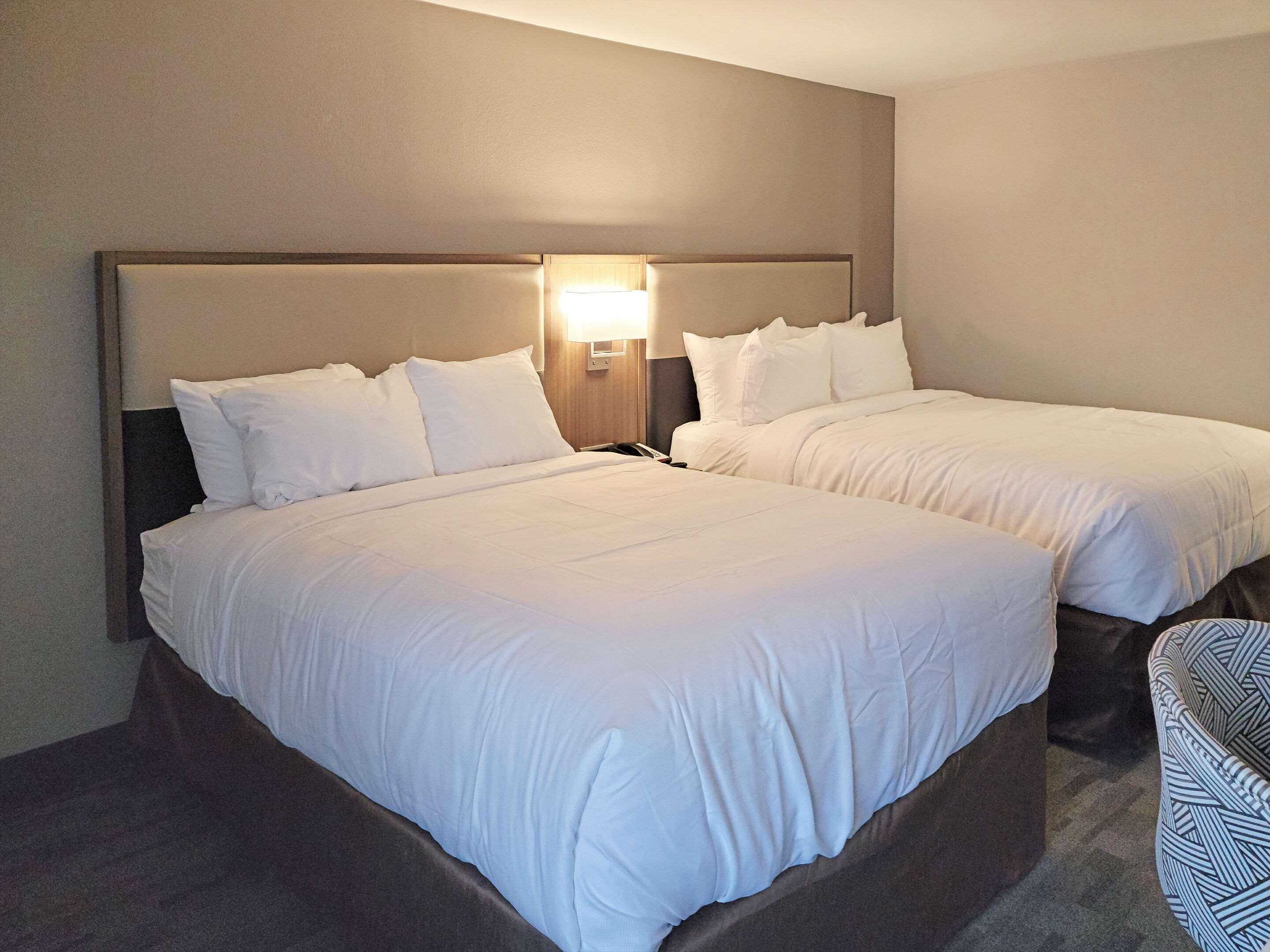 Comfort Inn & Suites Wyomissing-Reading Extérieur photo