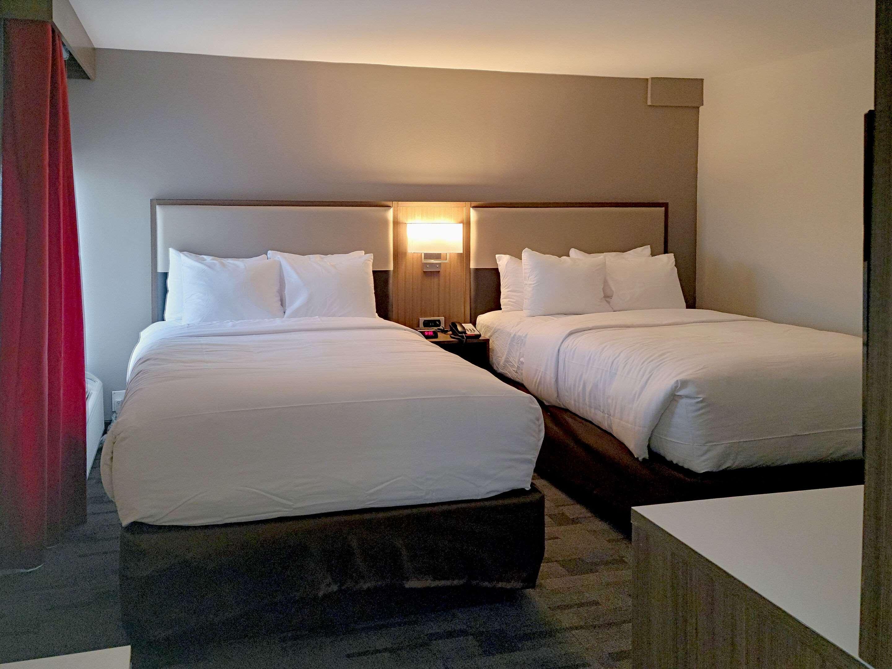 Comfort Inn & Suites Wyomissing-Reading Extérieur photo