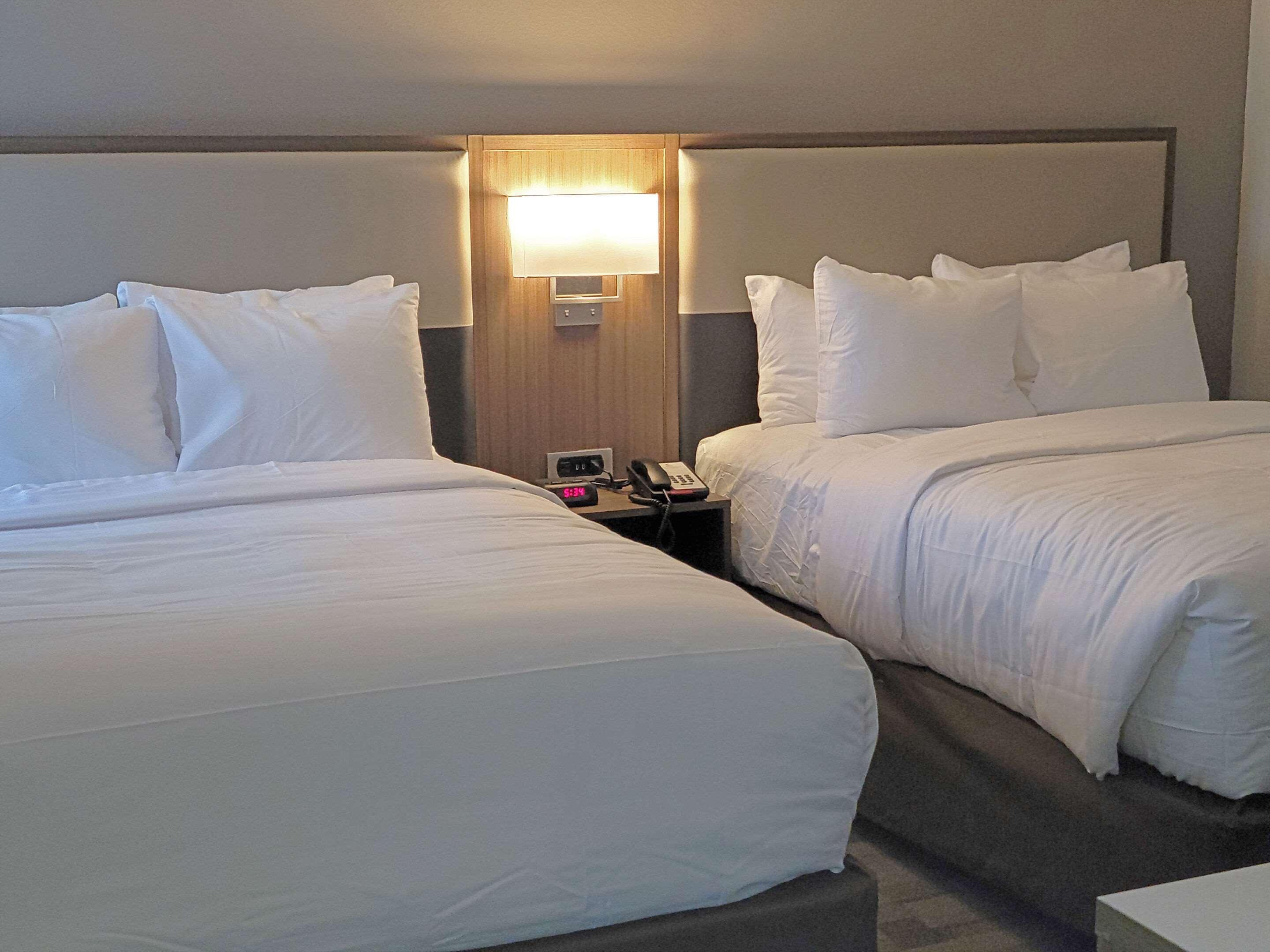 Comfort Inn & Suites Wyomissing-Reading Extérieur photo